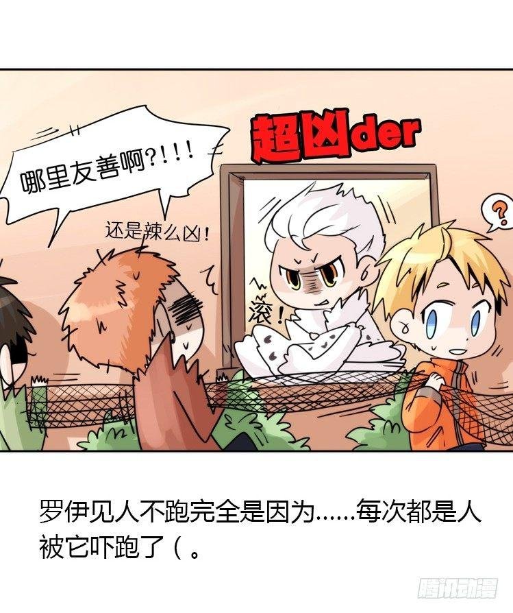 飞吧小少爷：注意风度呀！