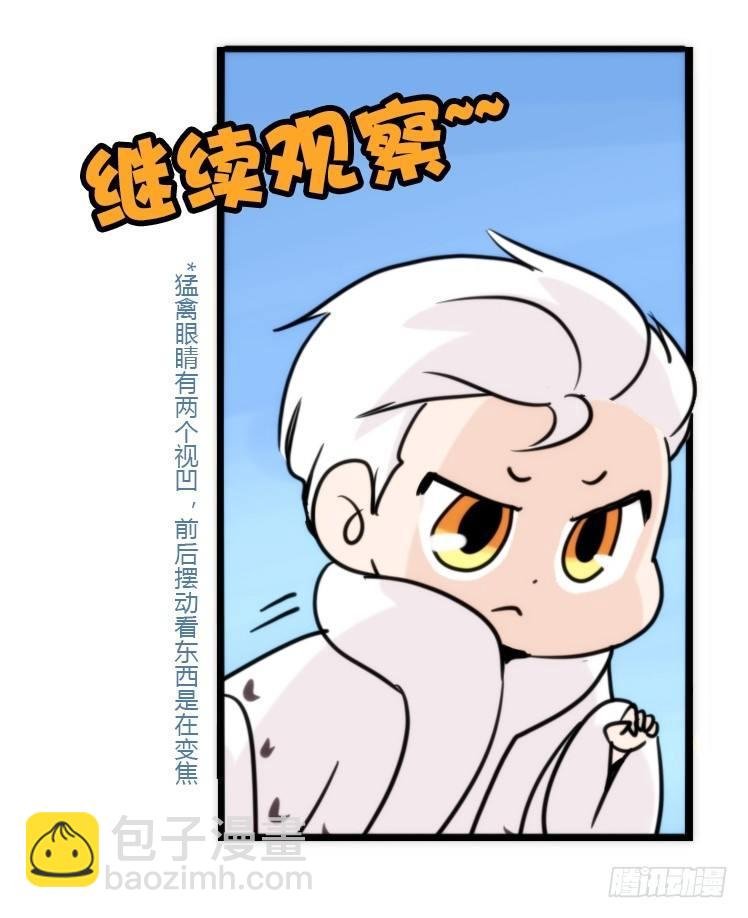 飞吧小少爷：注意风度呀！