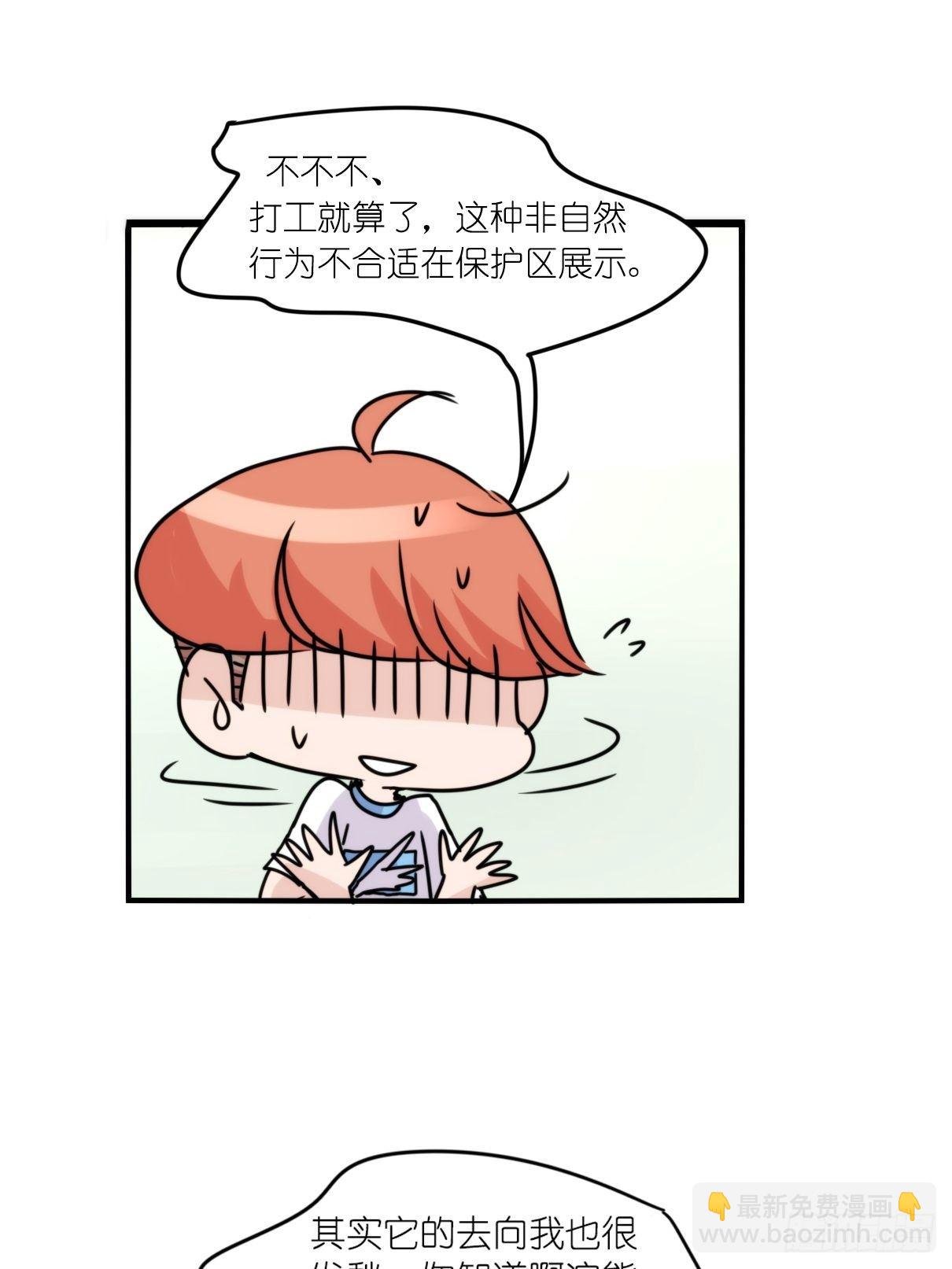 事业篇II：更大的麻烦-中