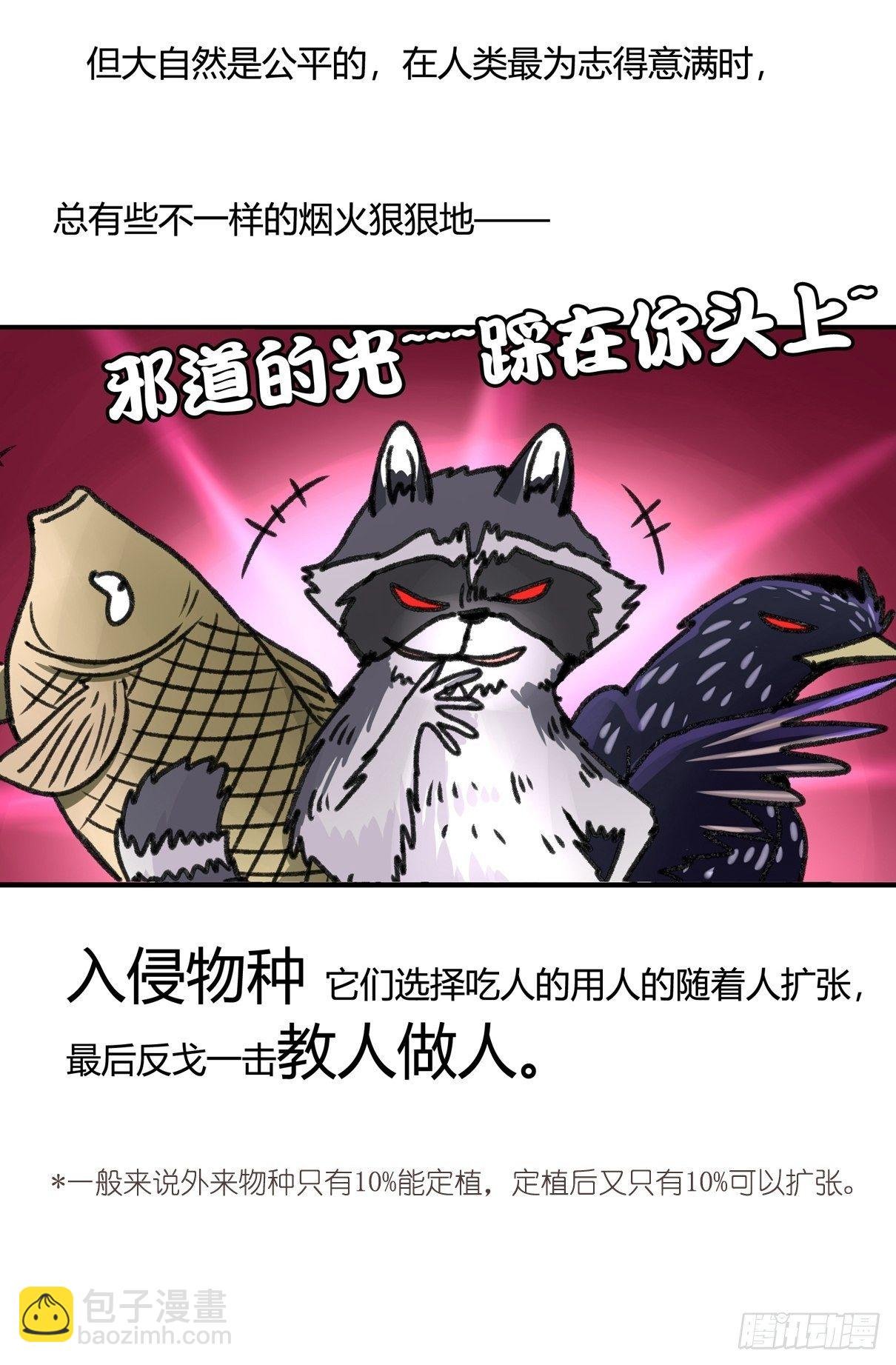 事业篇II：邪道的光
