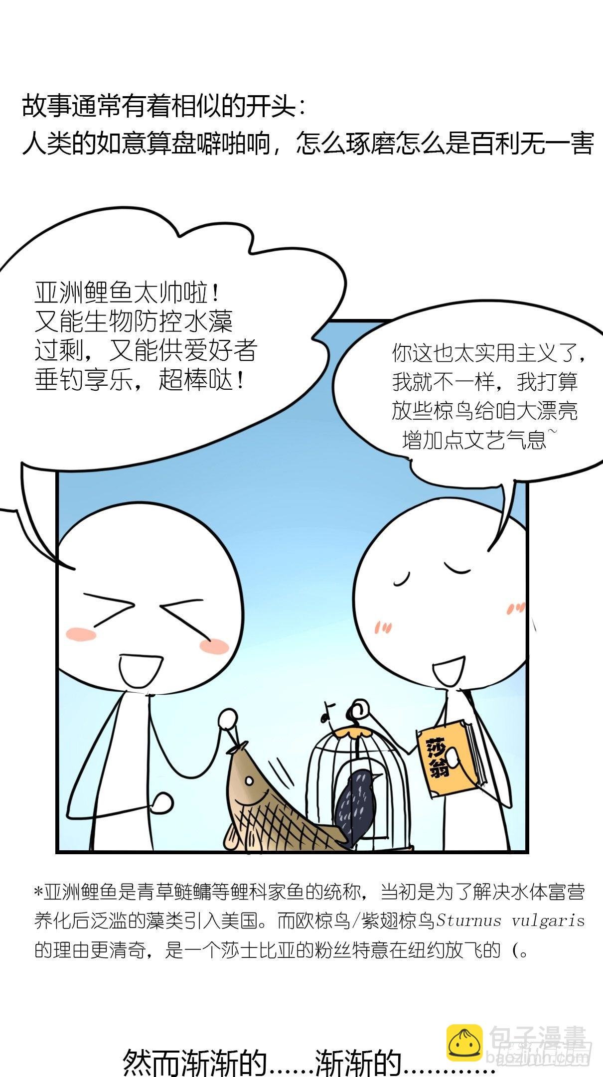 事业篇II：邪道的光