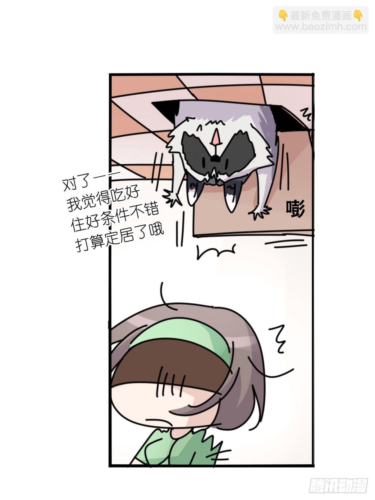 事业篇II：邪道的光