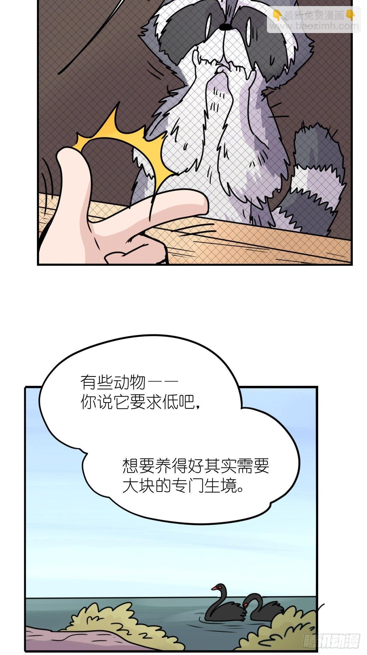 事业篇II：各自的故事