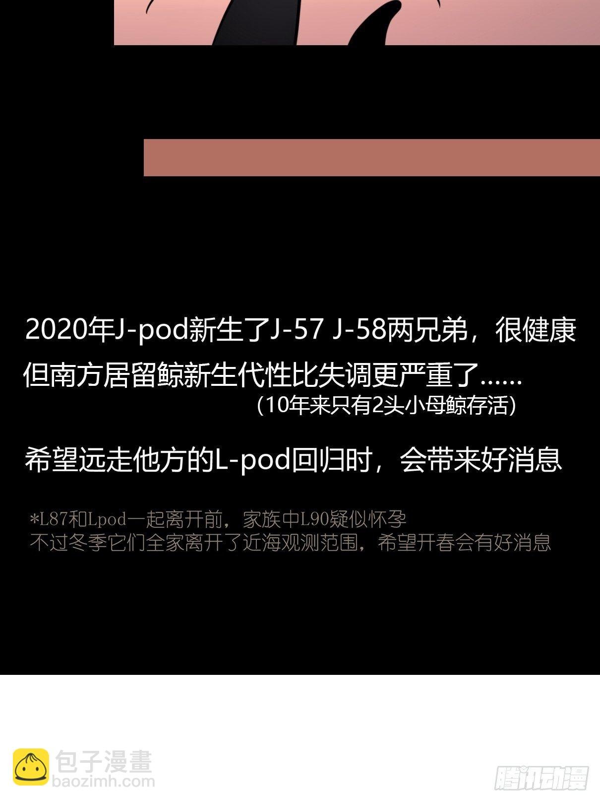 事业篇II：各自的故事