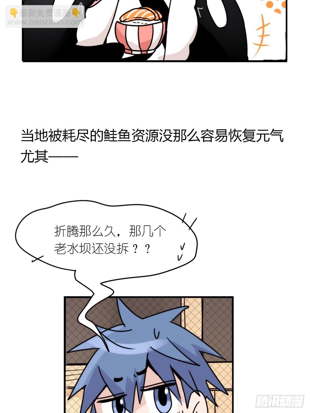 事业篇II：致绿孔雀01