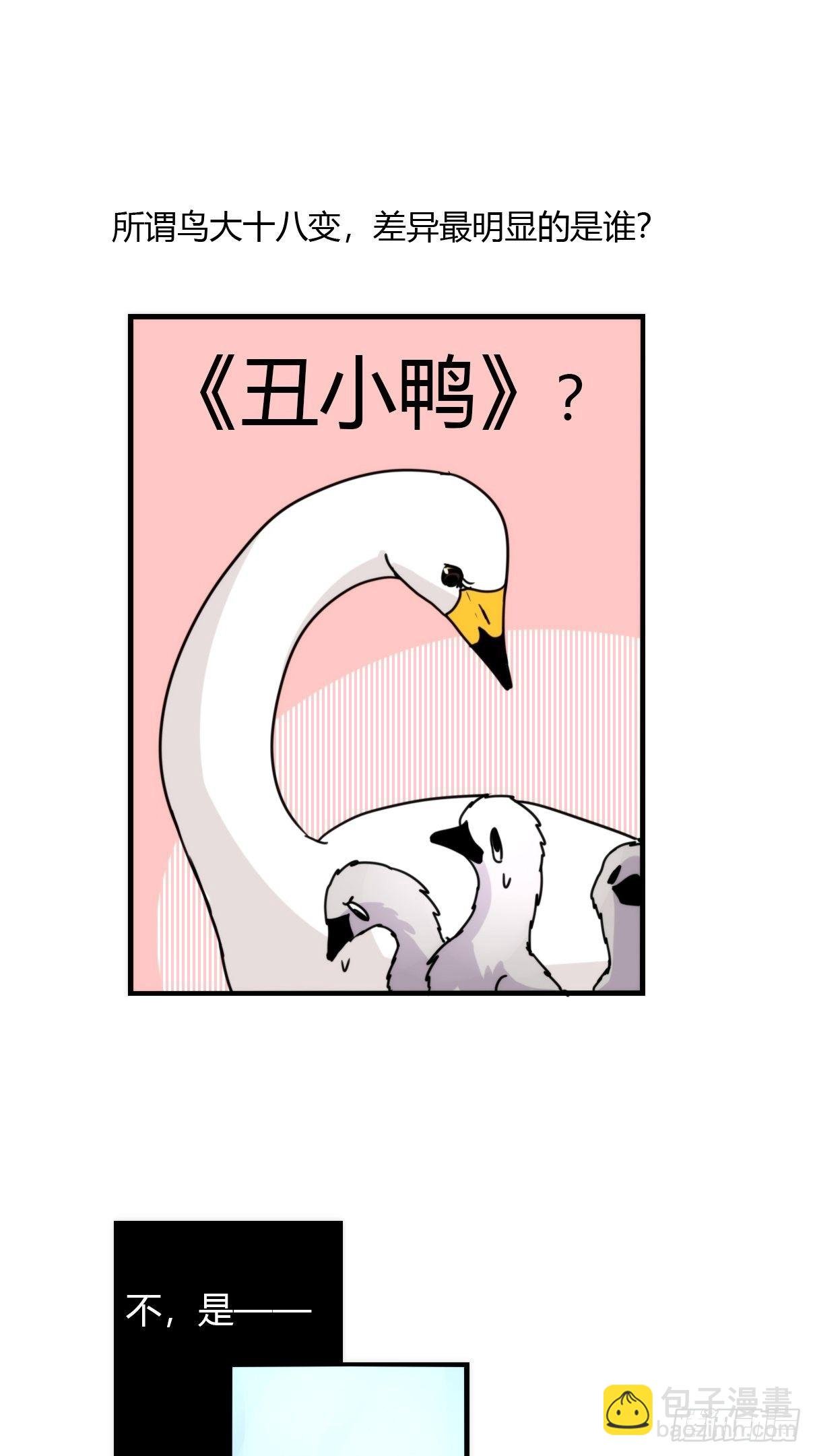 事业篇II：致绿孔雀01