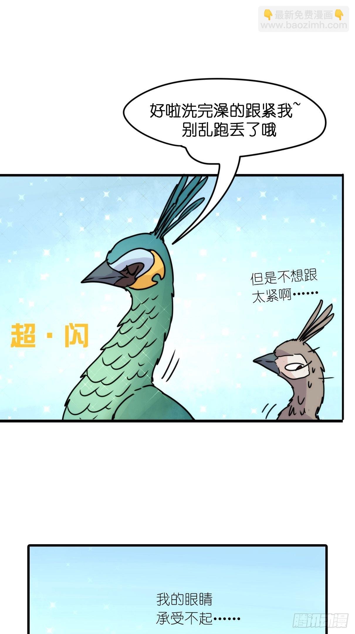 事业篇II：致绿孔雀01