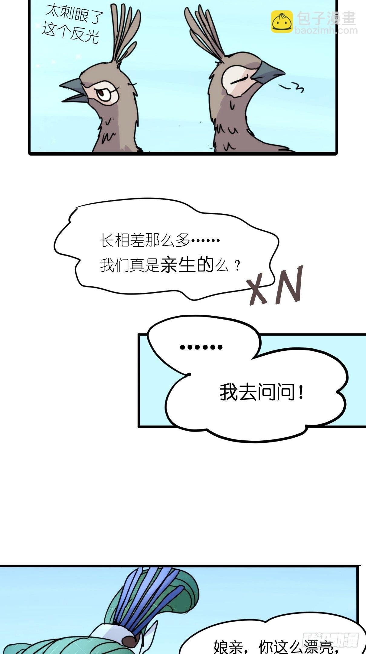 事业篇II：致绿孔雀01
