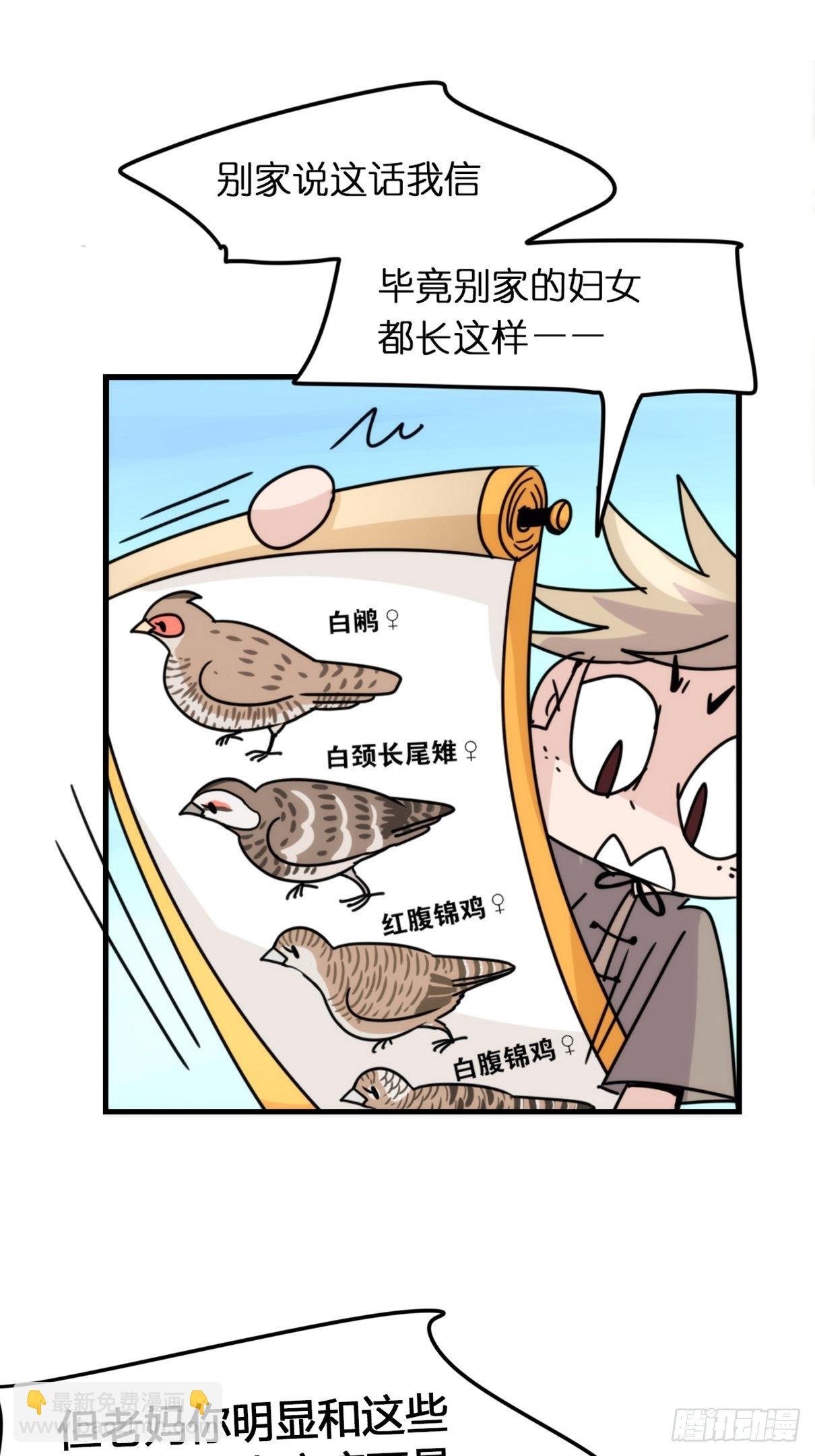 事业篇II：致绿孔雀01