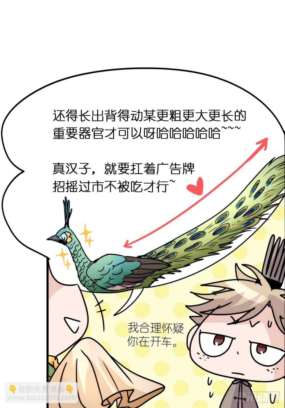 事业篇II：致绿孔雀01
