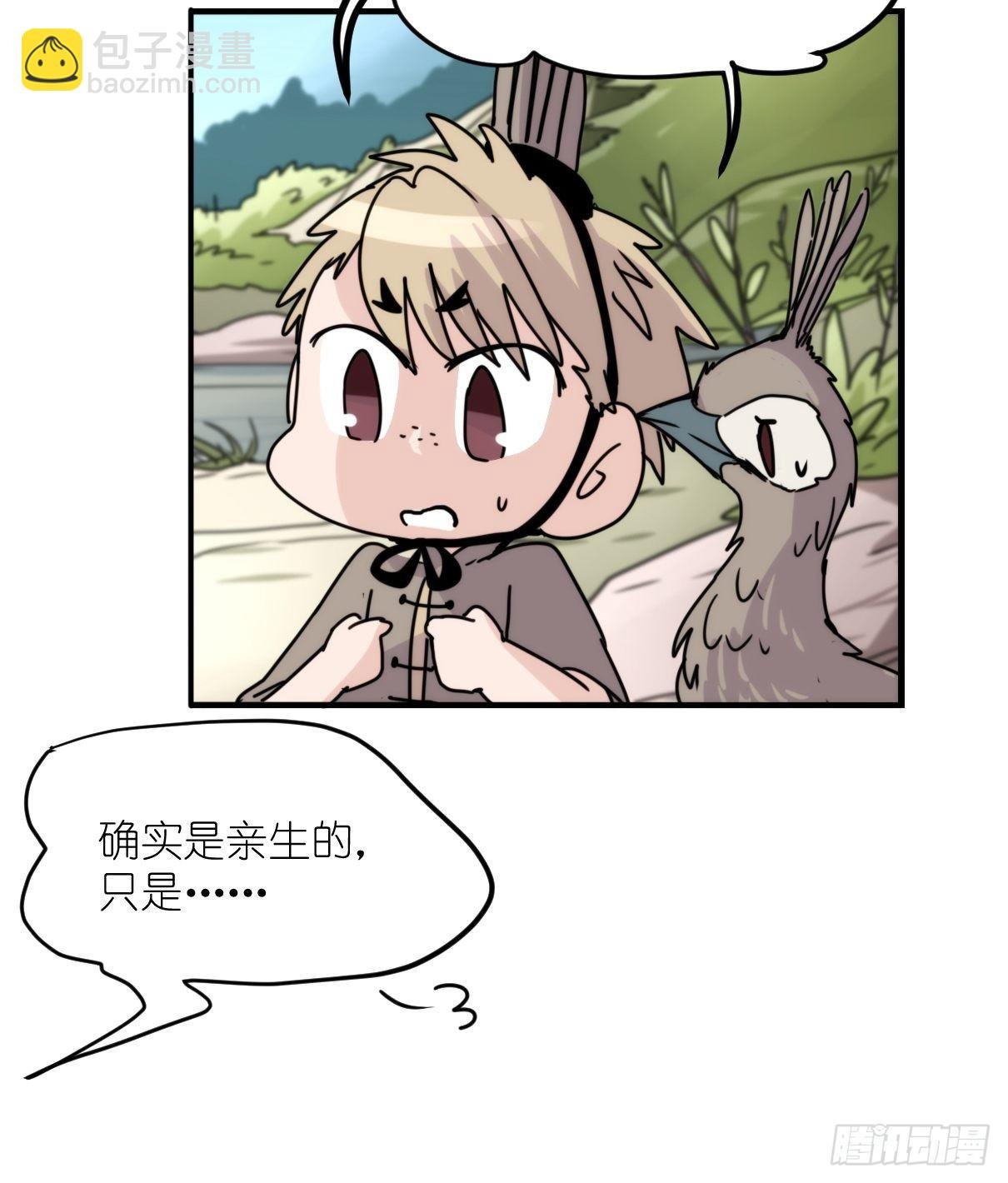 事业篇II：致绿孔雀01