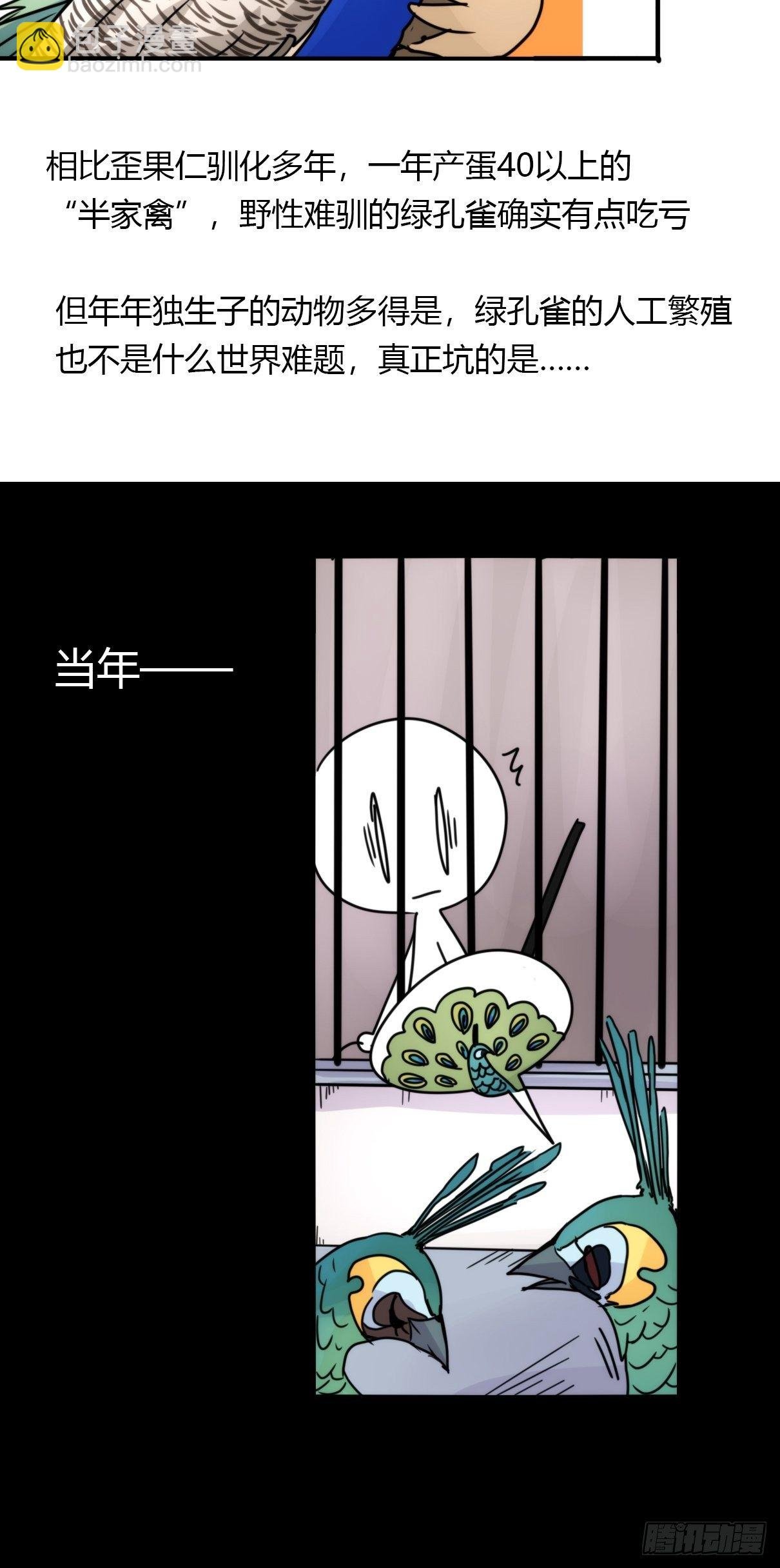 事业篇II：致绿孔雀01