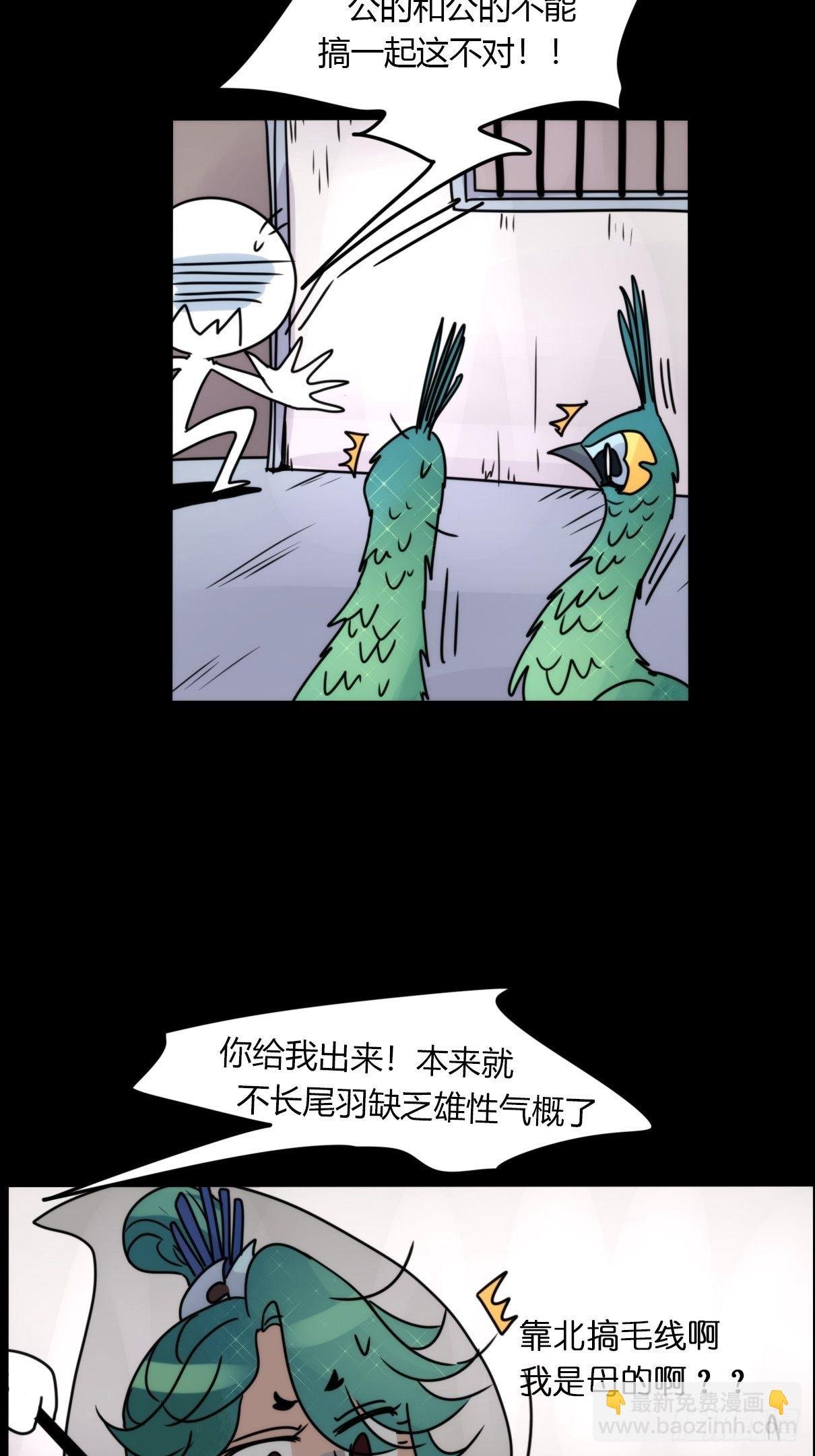 事业篇II：致绿孔雀01