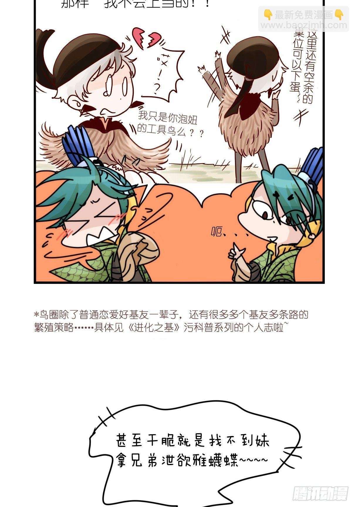 事业篇II：致绿孔雀02