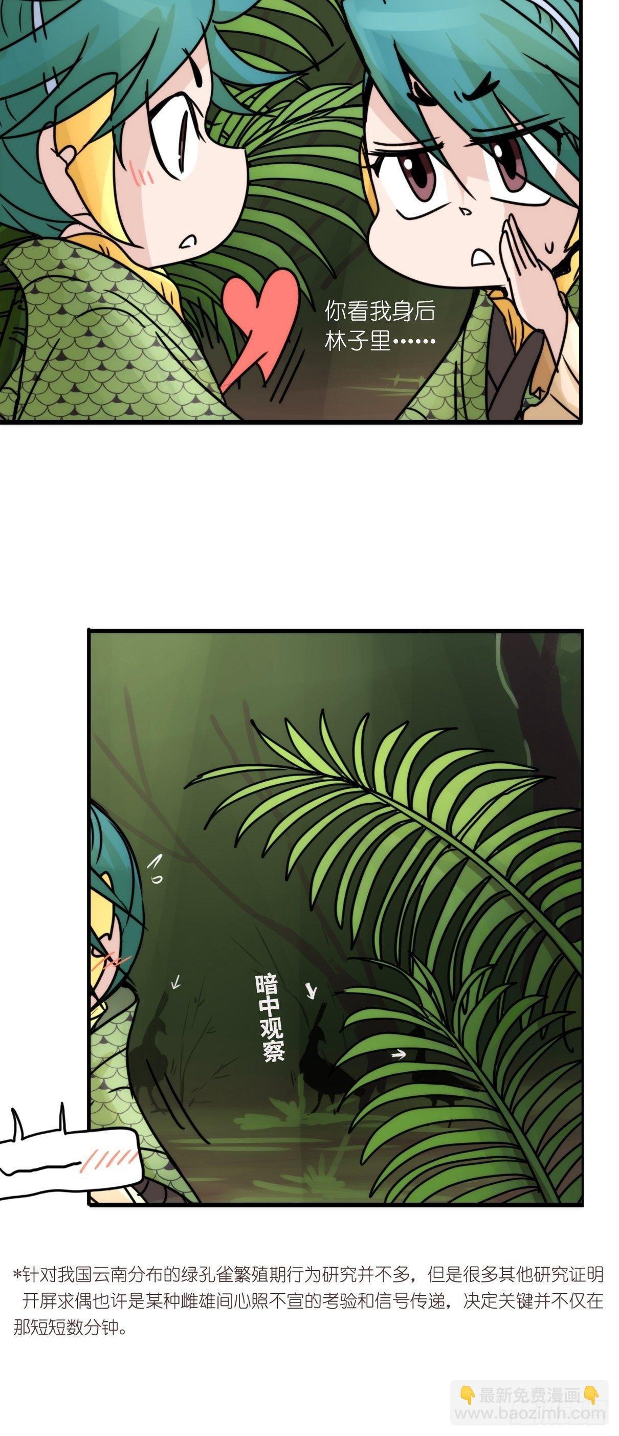 事业篇II：致绿孔雀02