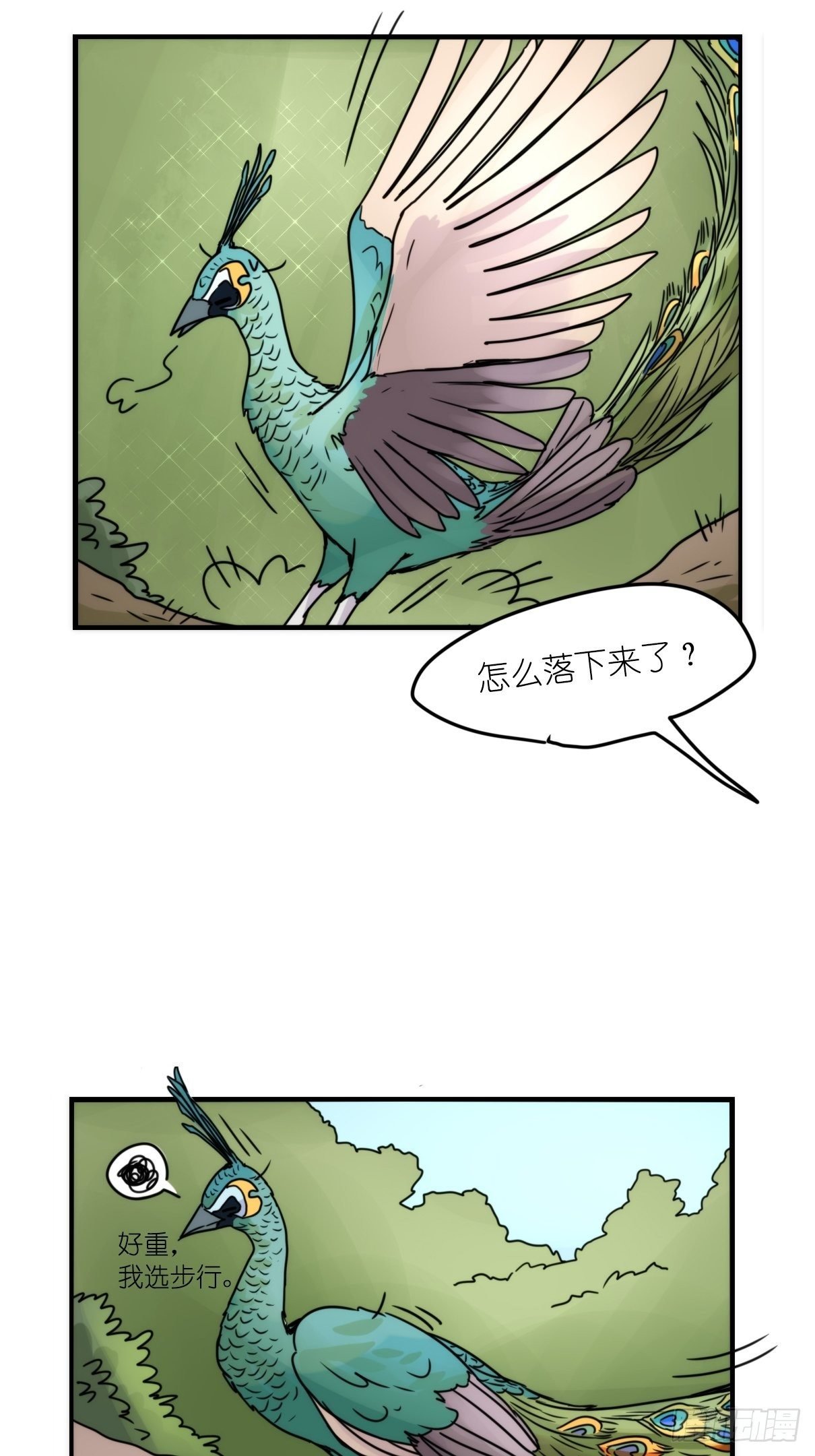 事业篇II：致绿孔雀02