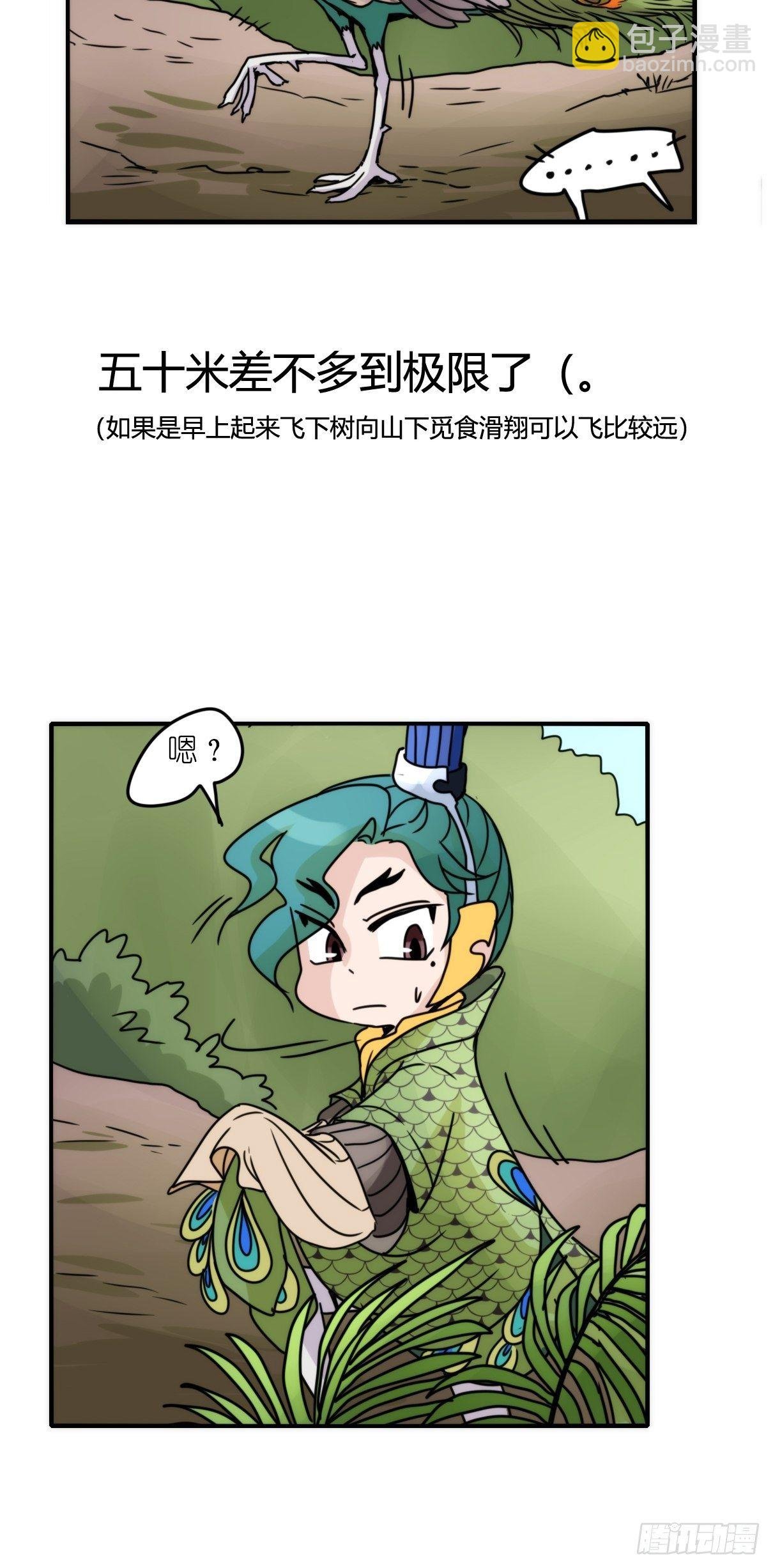 事业篇II：致绿孔雀02