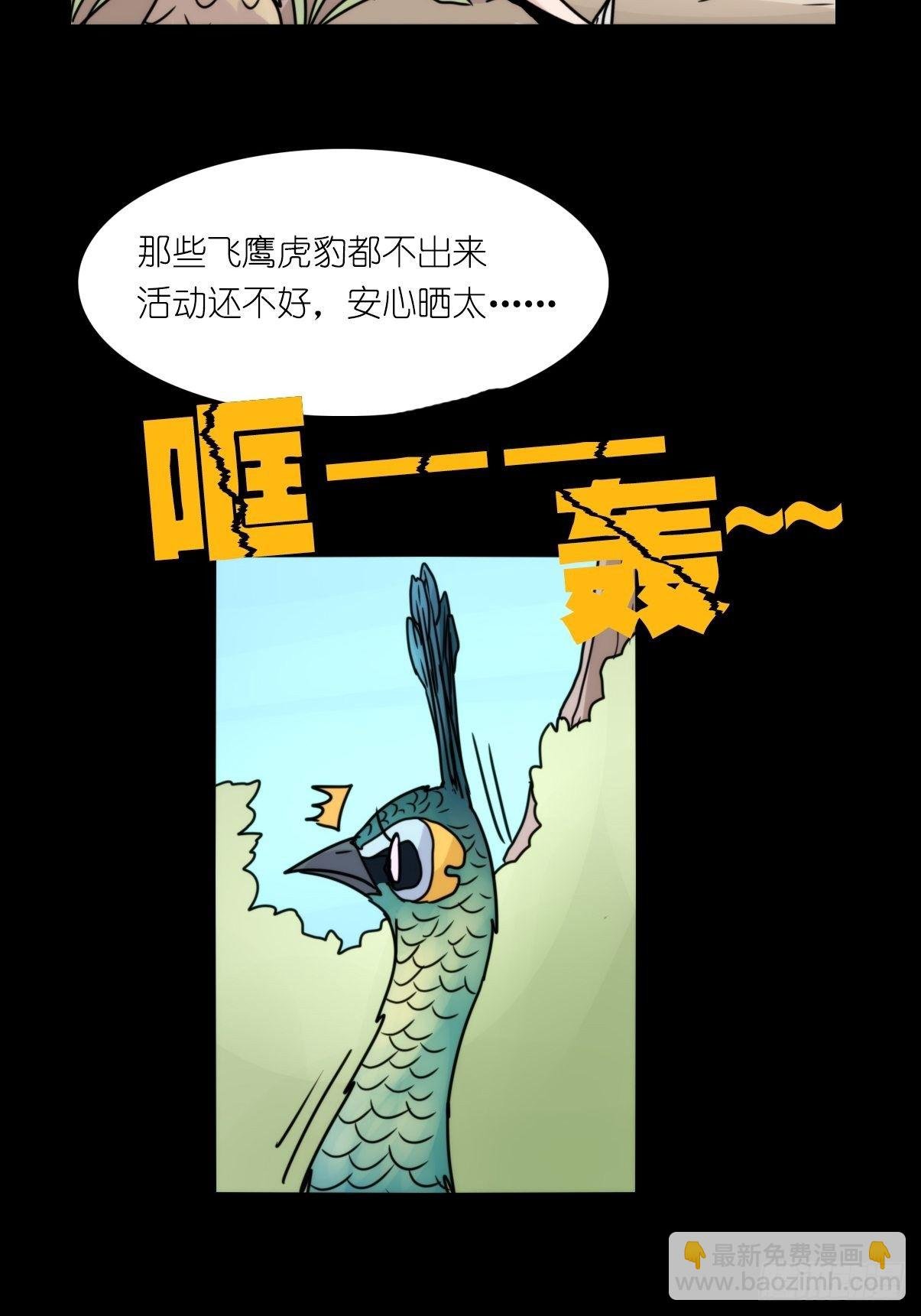 事业篇II：致绿孔雀03