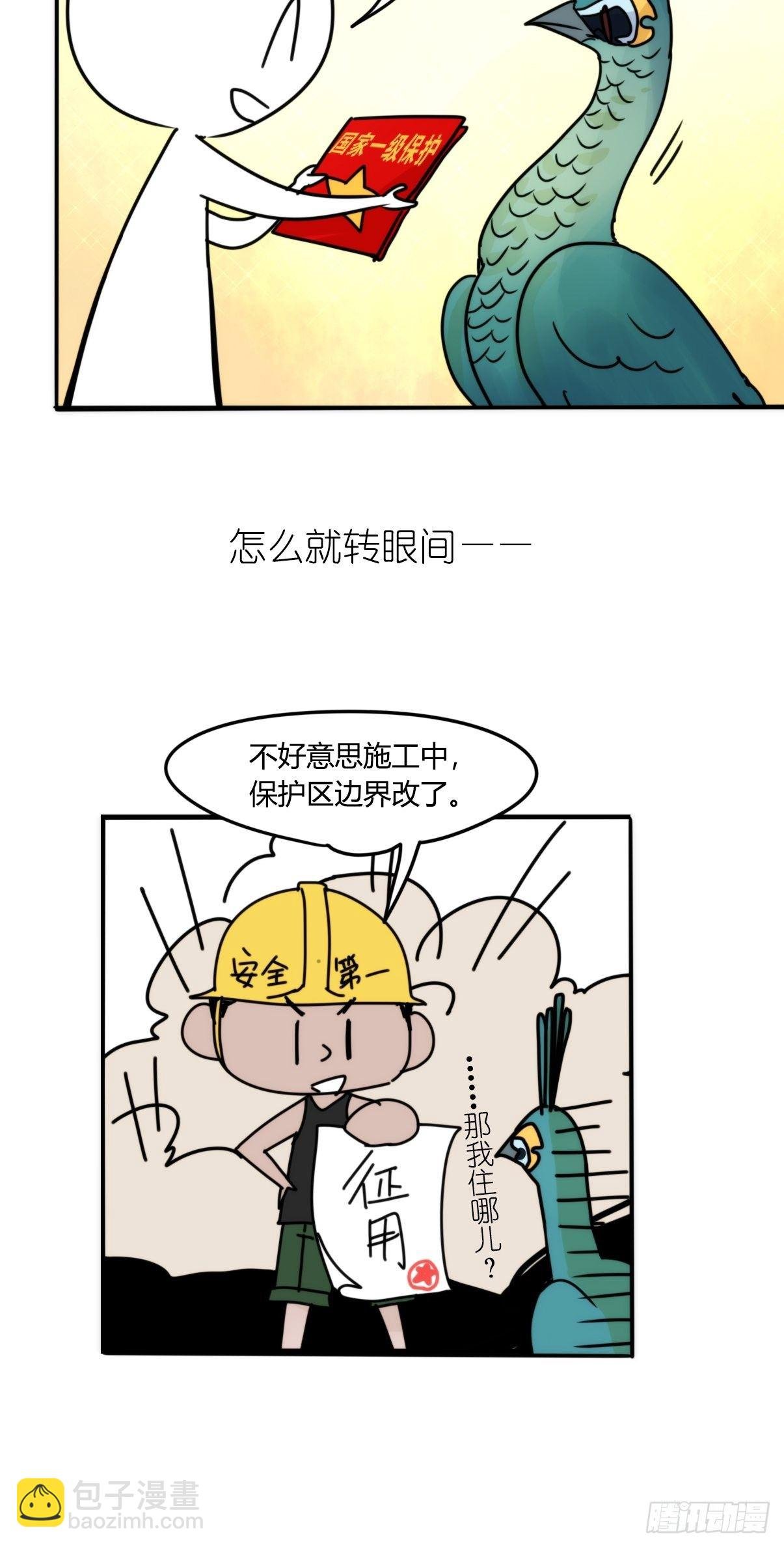 事业篇II：致绿孔雀03