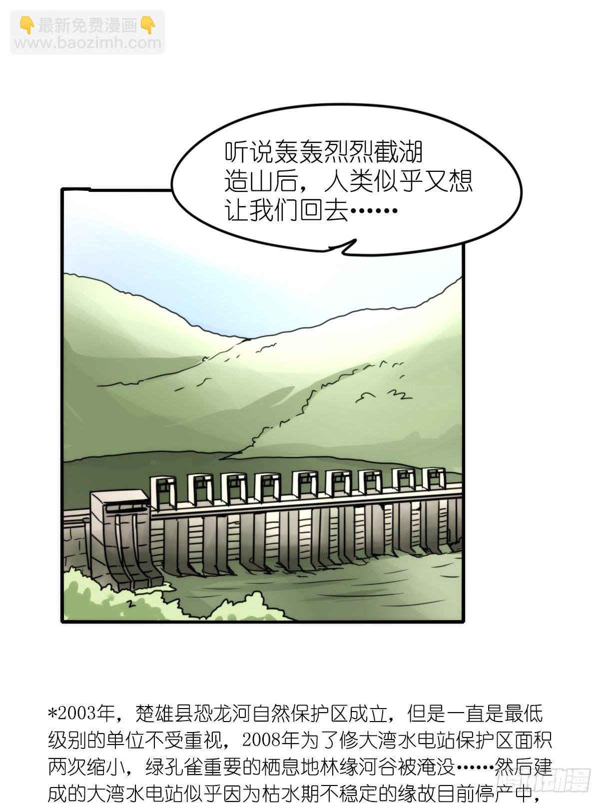 事业篇II：致绿孔雀03