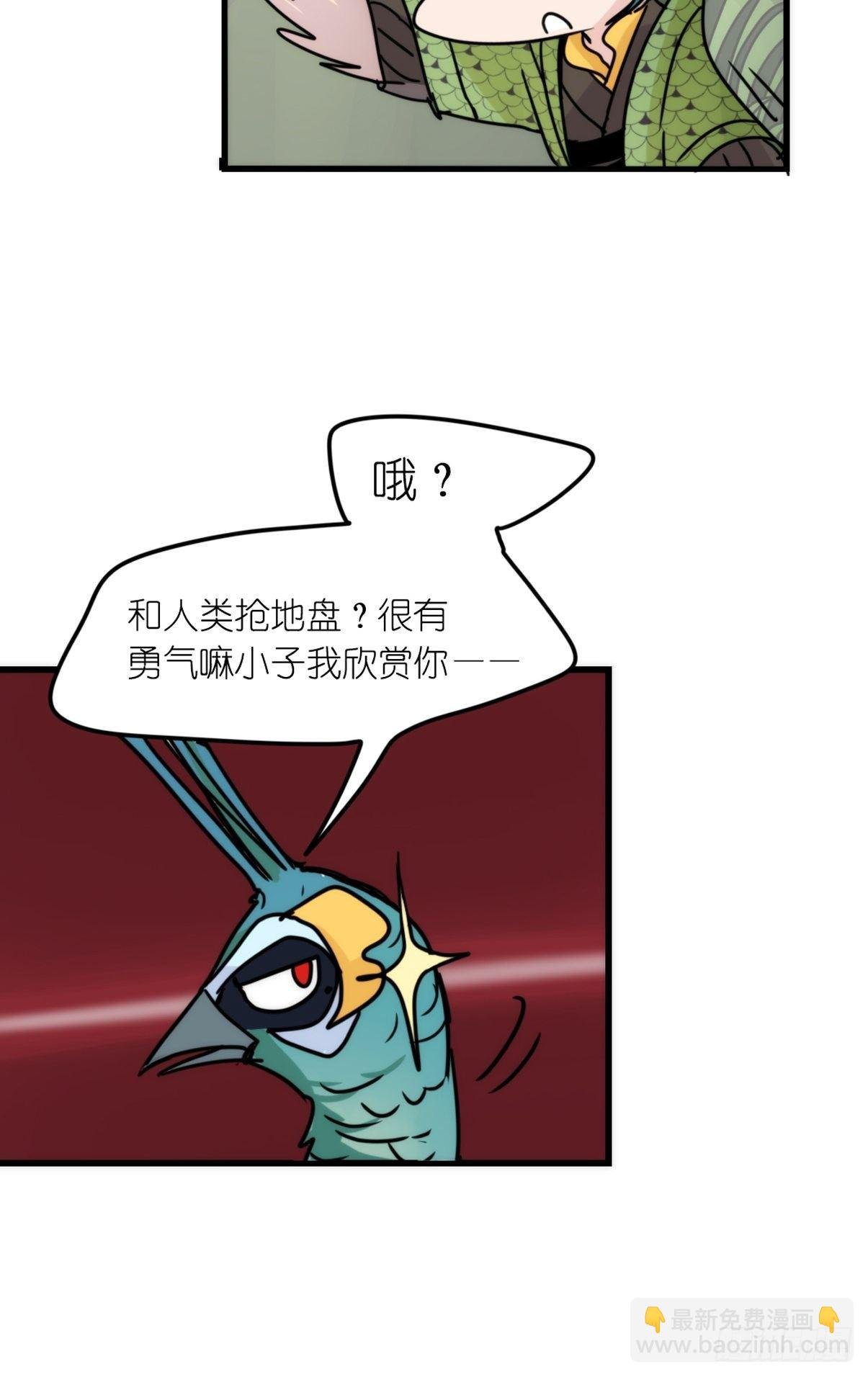 事业篇II：致绿孔雀03