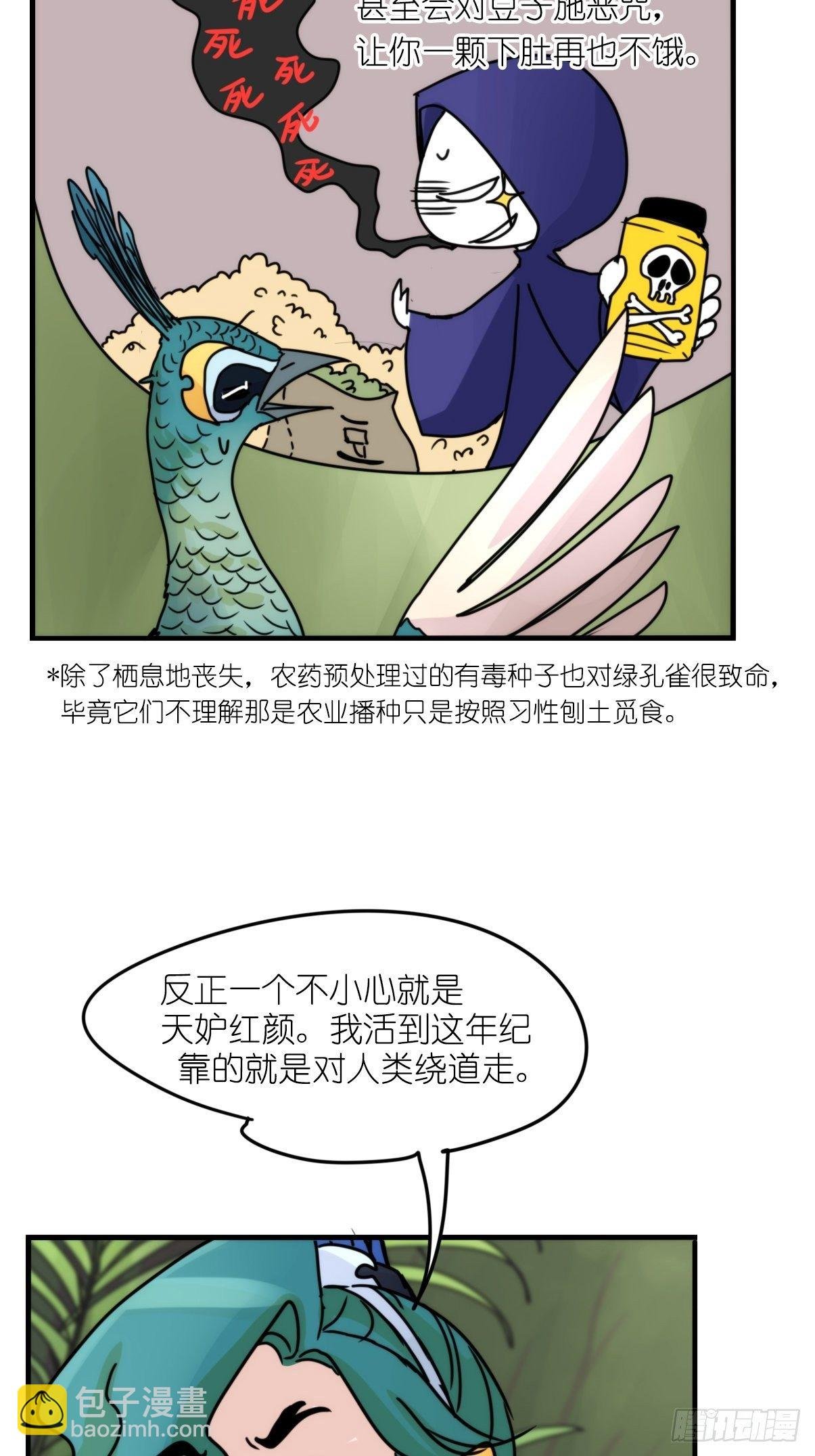 事业篇II：致绿孔雀03