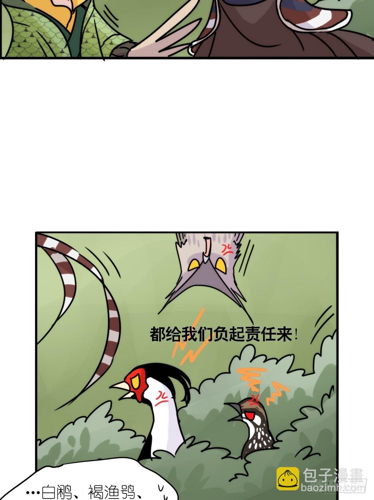 事业篇II：致绿孔雀03