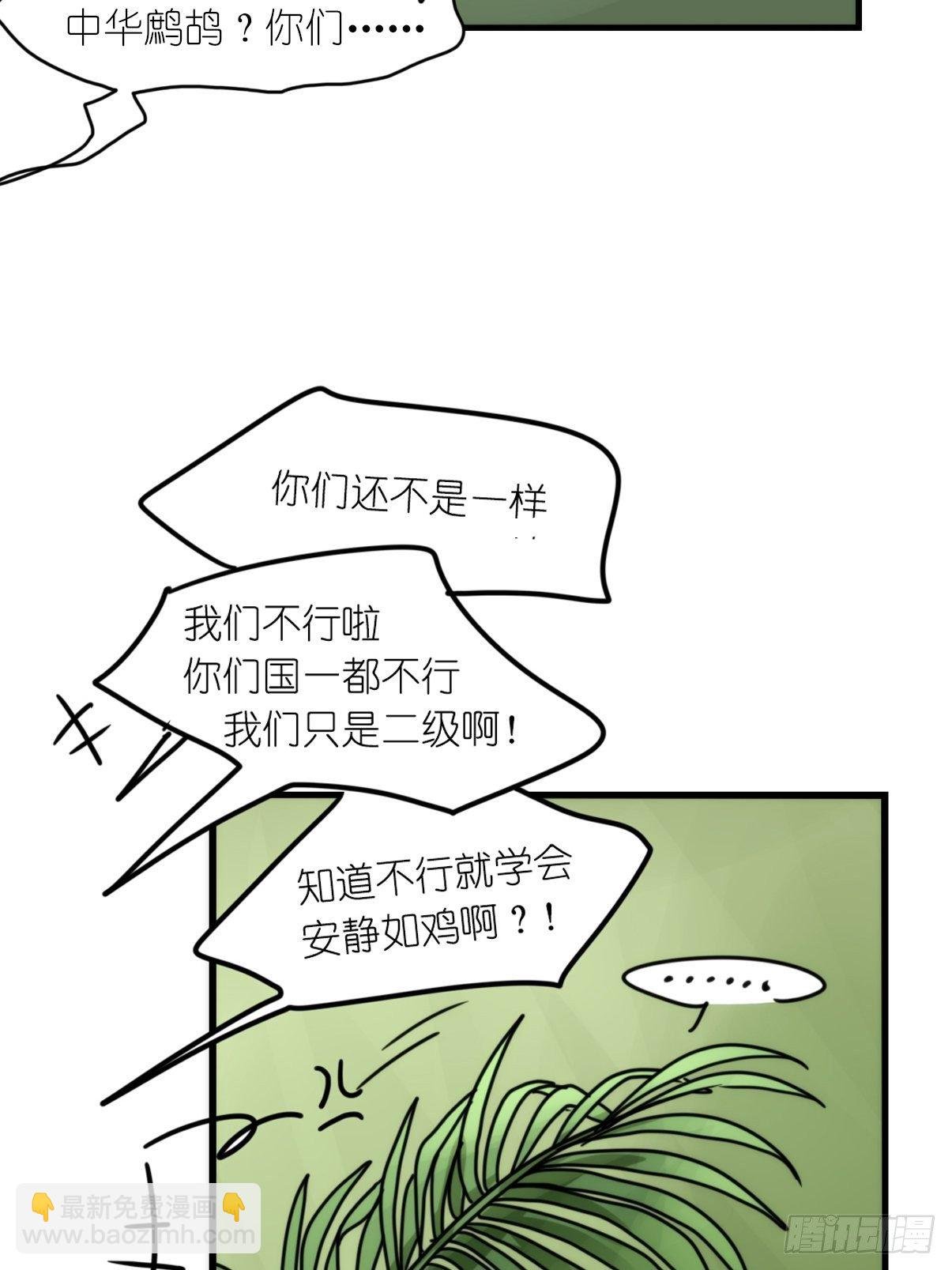 事业篇II：致绿孔雀03