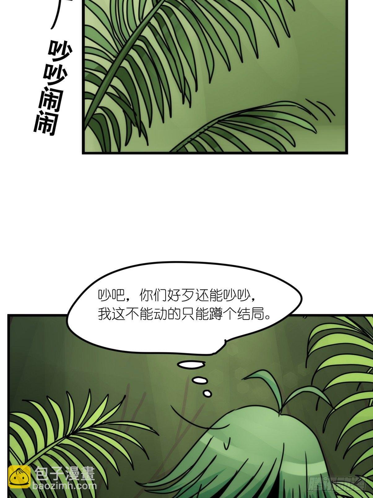 事业篇II：致绿孔雀03