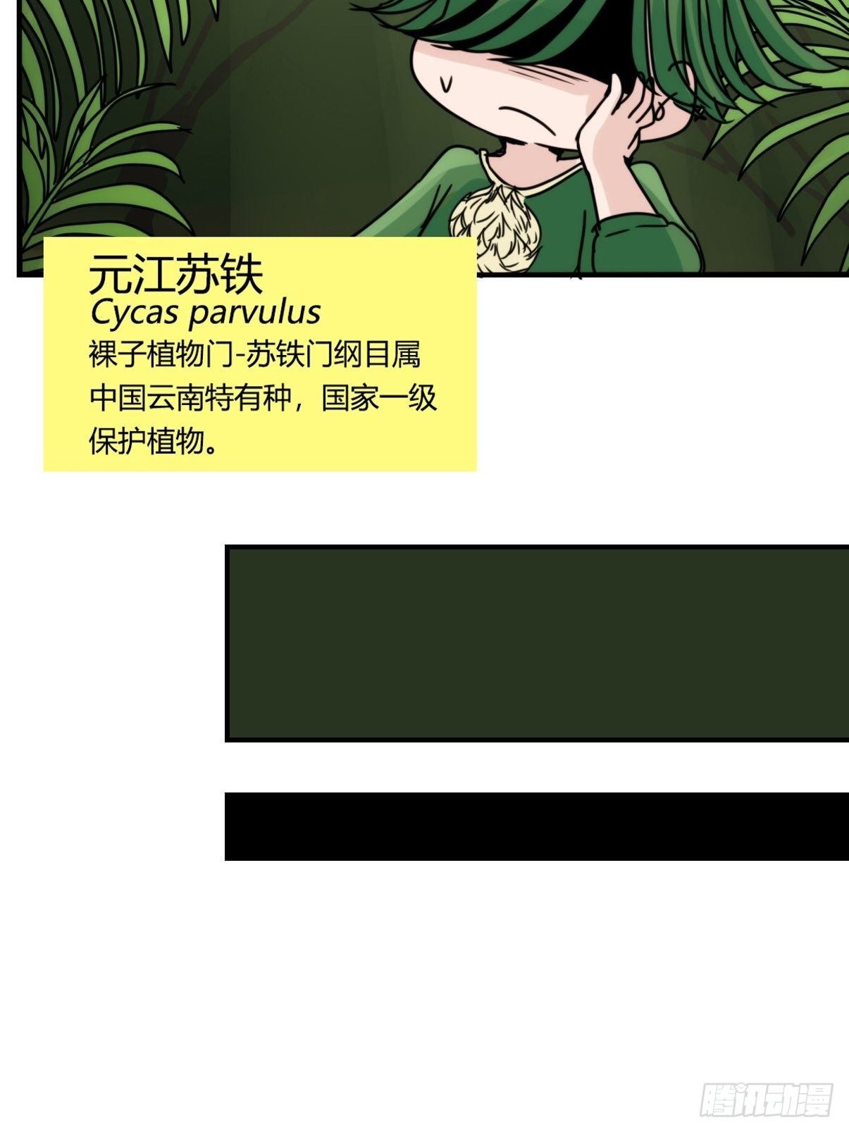 事业篇II：致绿孔雀03