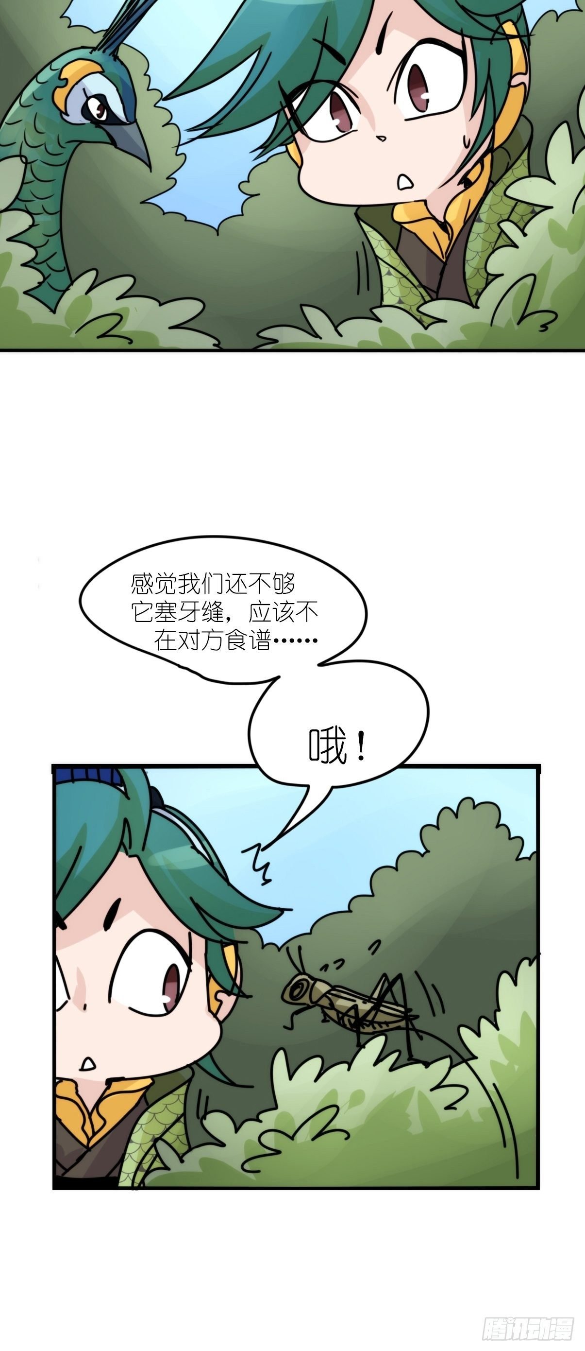事业篇II：致绿孔雀04