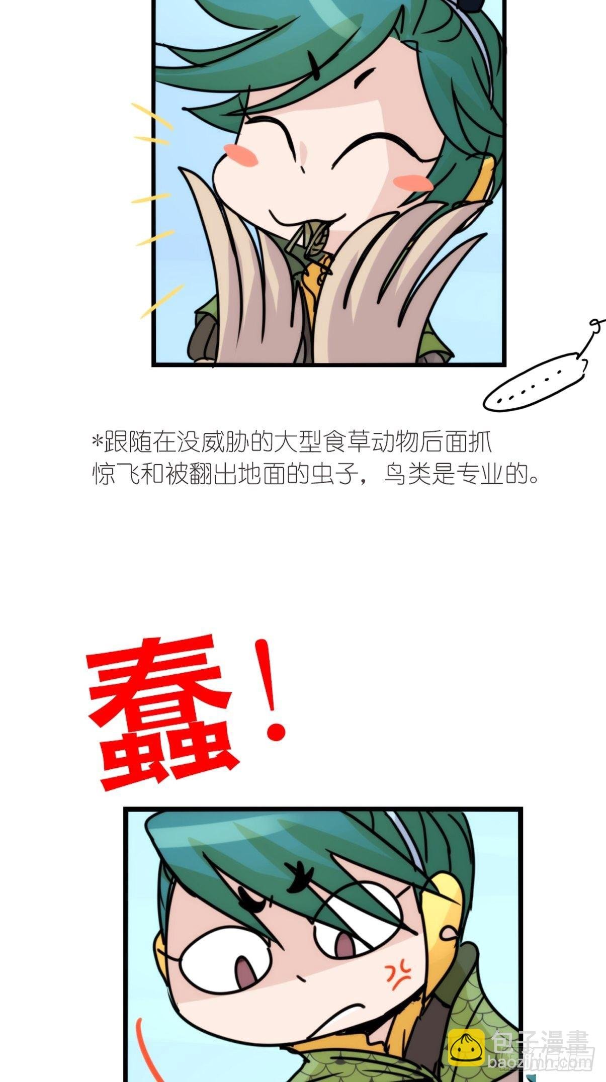 事业篇II：致绿孔雀04