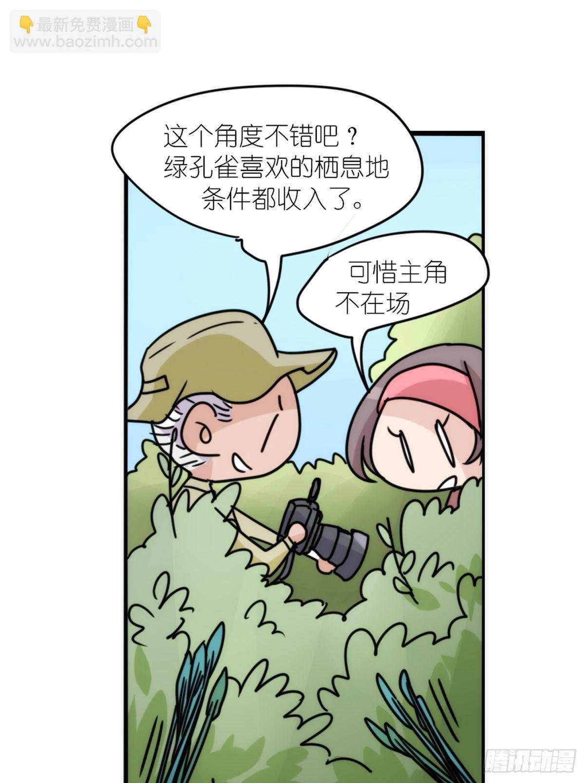 事业篇II：致绿孔雀04