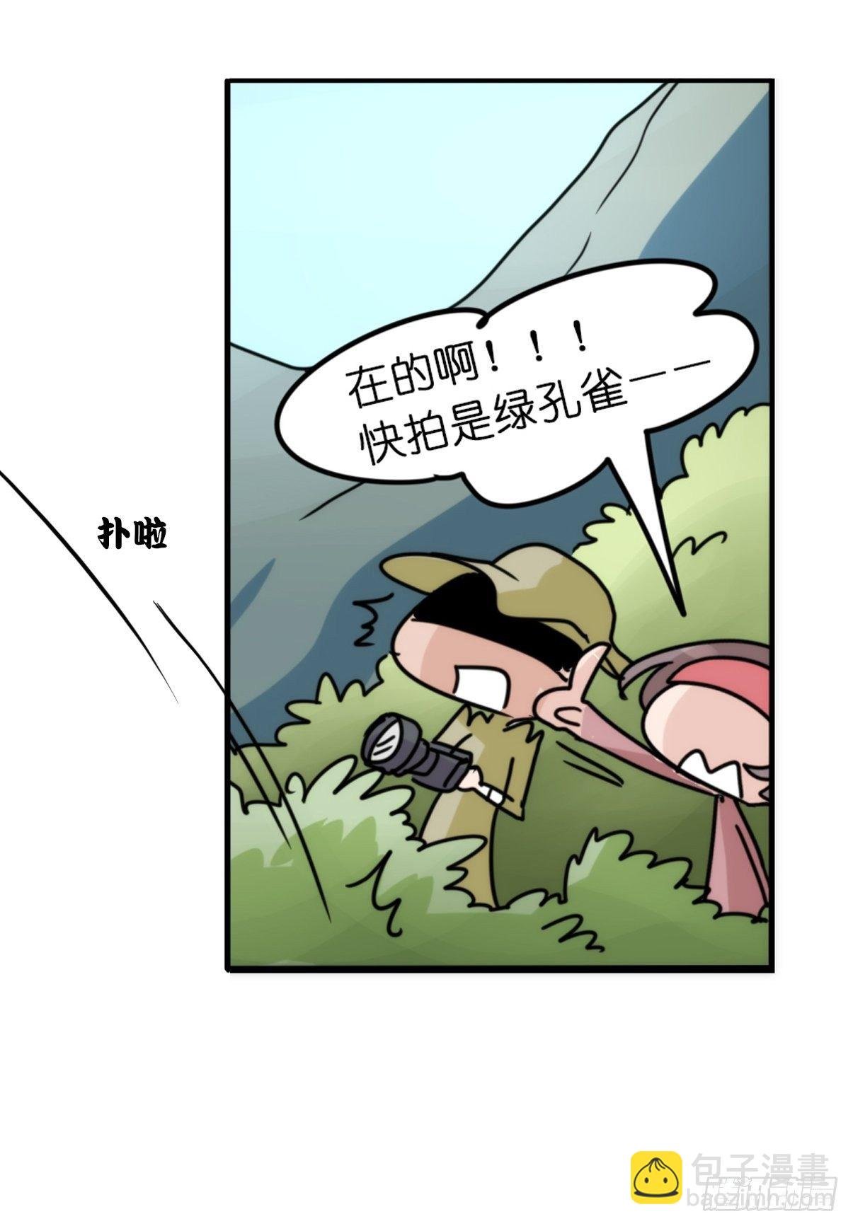 事业篇II：致绿孔雀04
