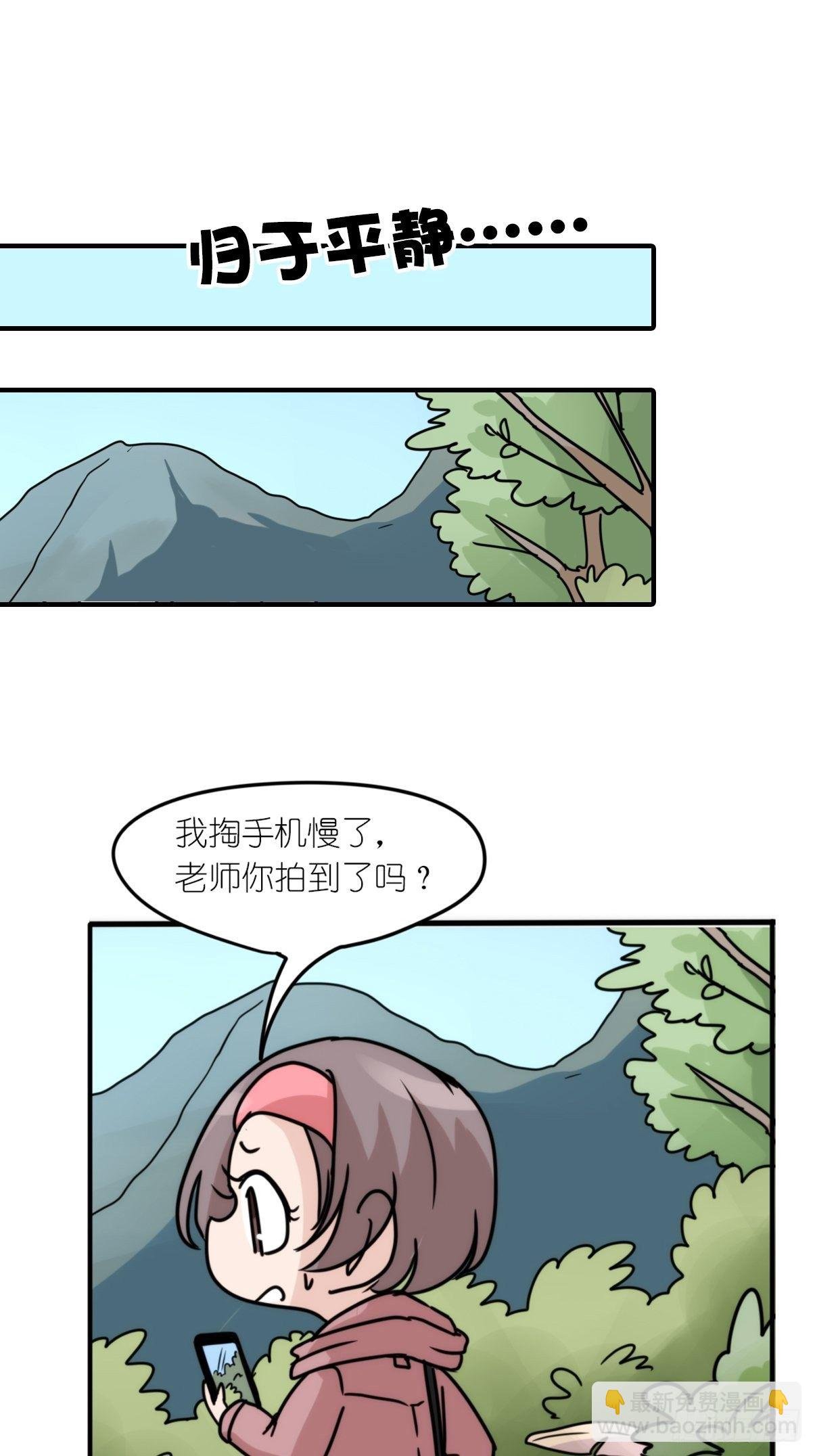 事业篇II：致绿孔雀04