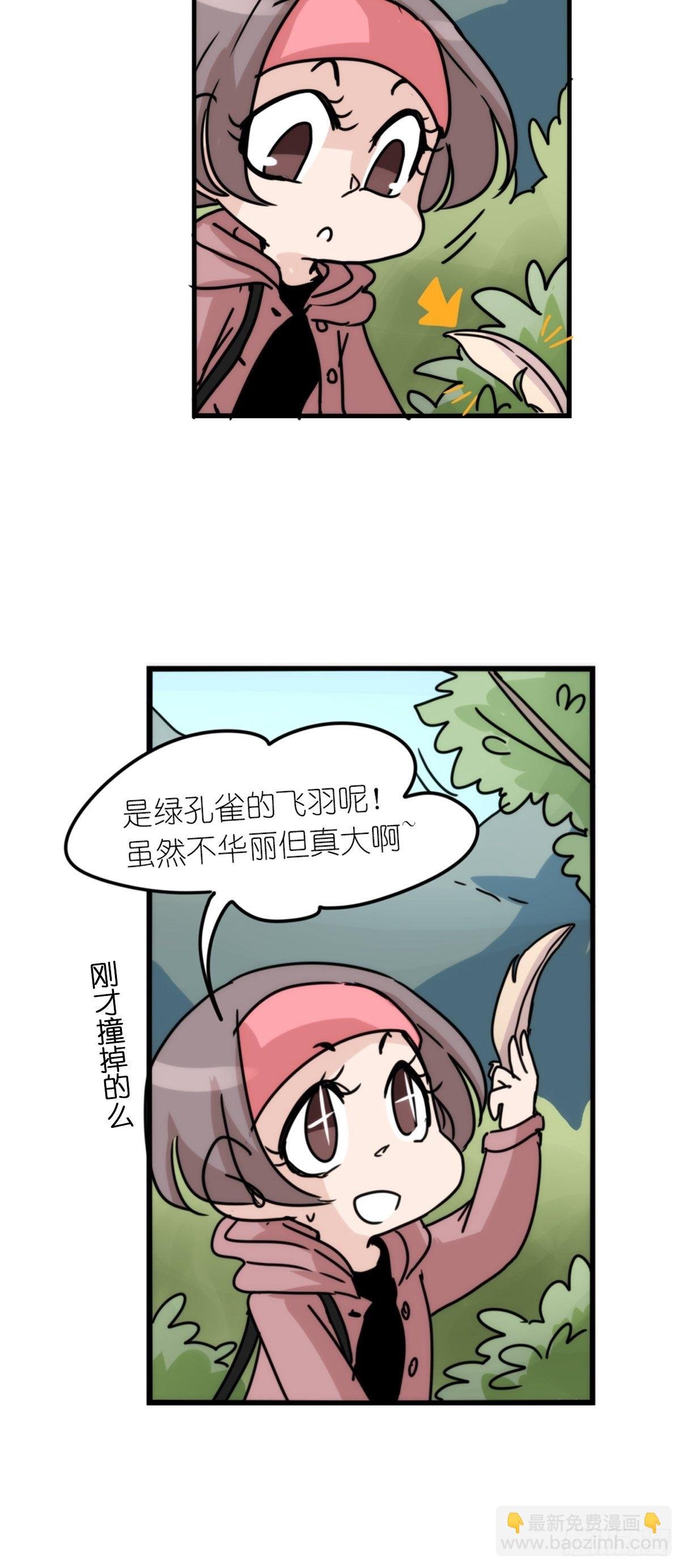 事业篇II：致绿孔雀04