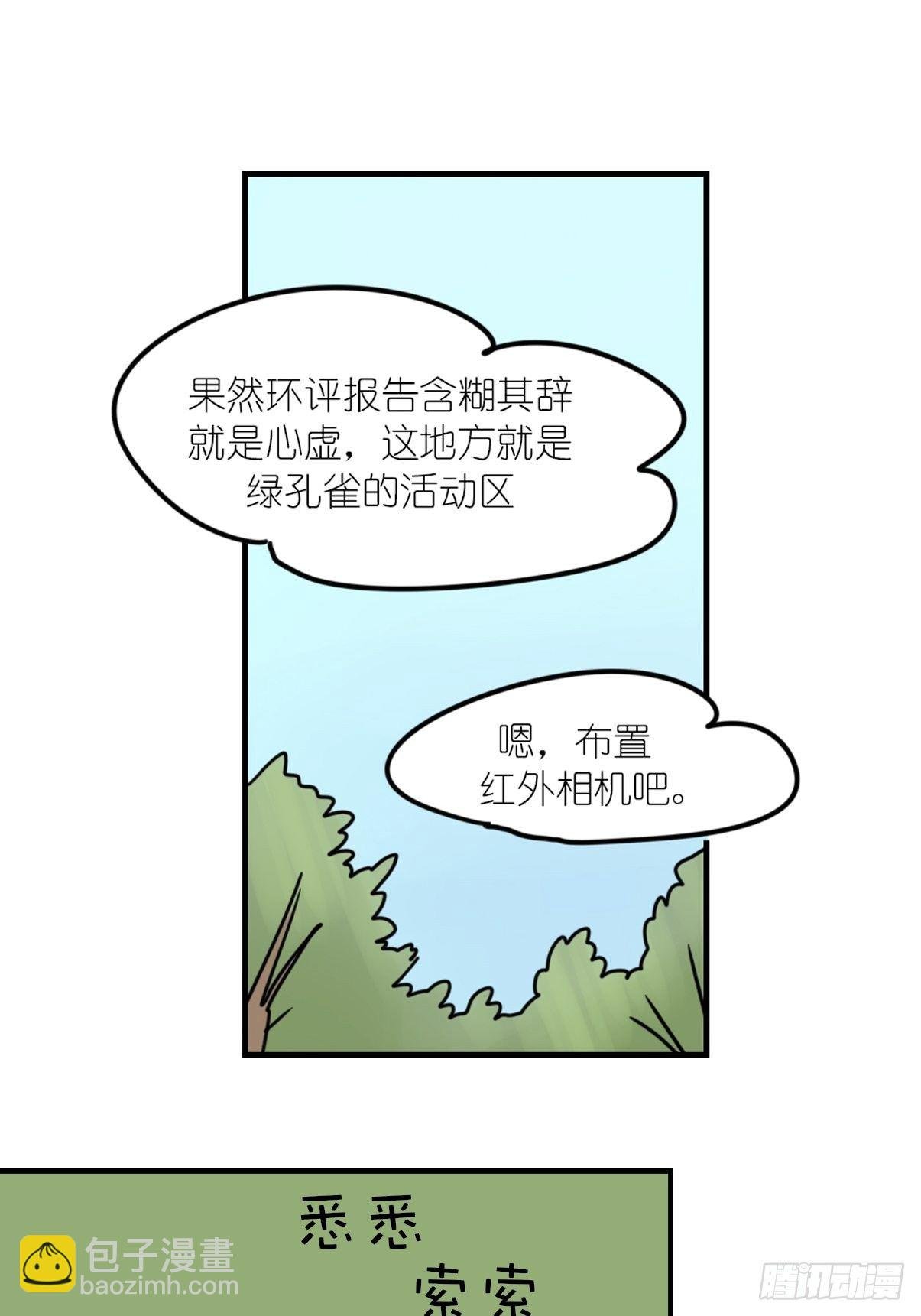 事业篇II：致绿孔雀04