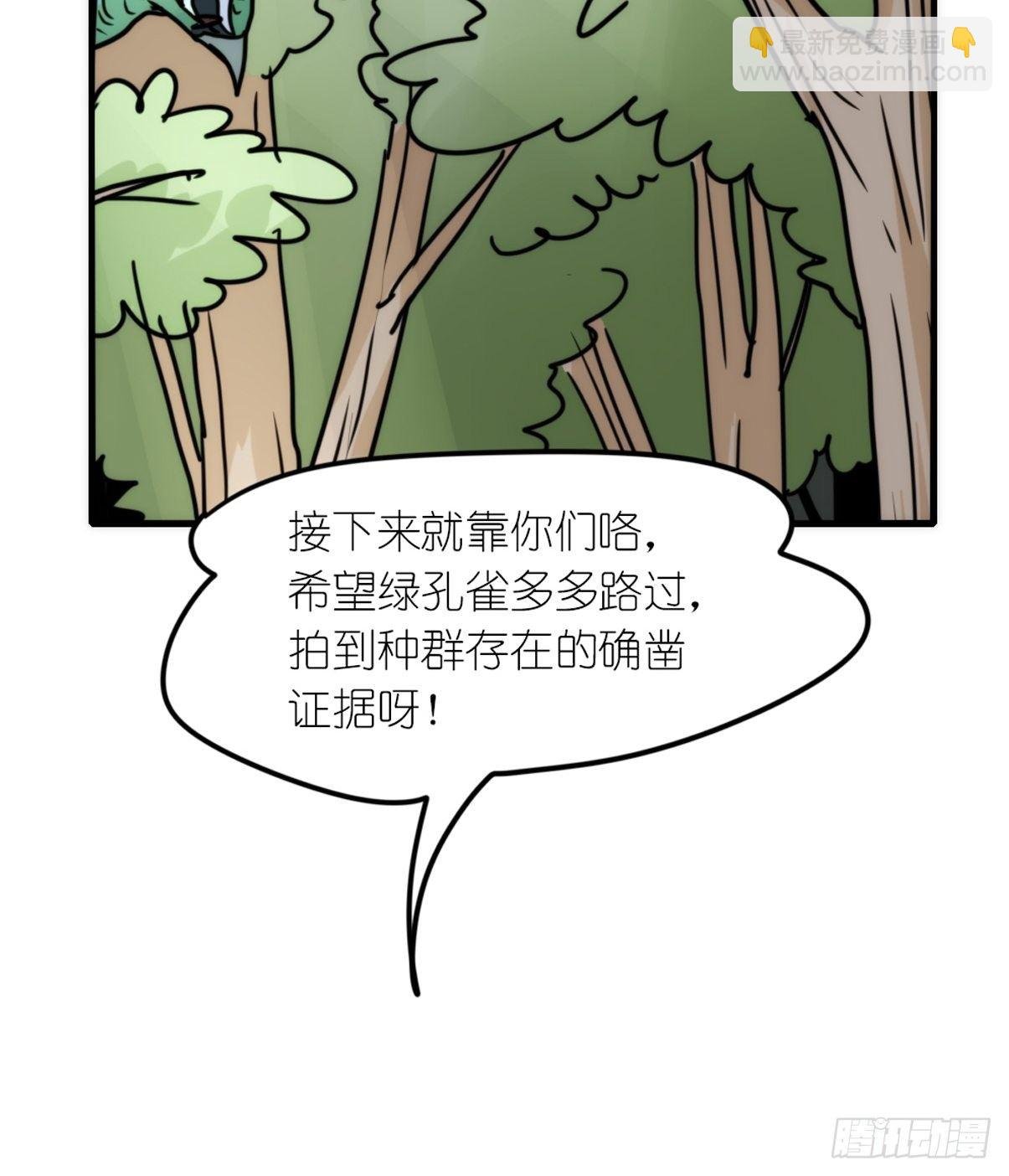 事业篇II：致绿孔雀04