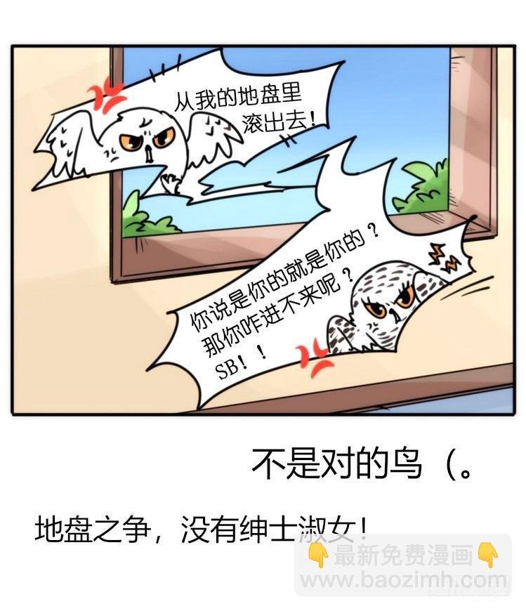 飞吧小少爷：恋爱季和注孤生？