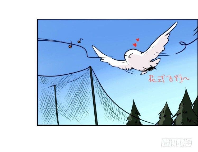 飞吧小少爷：恋爱季和注孤生？