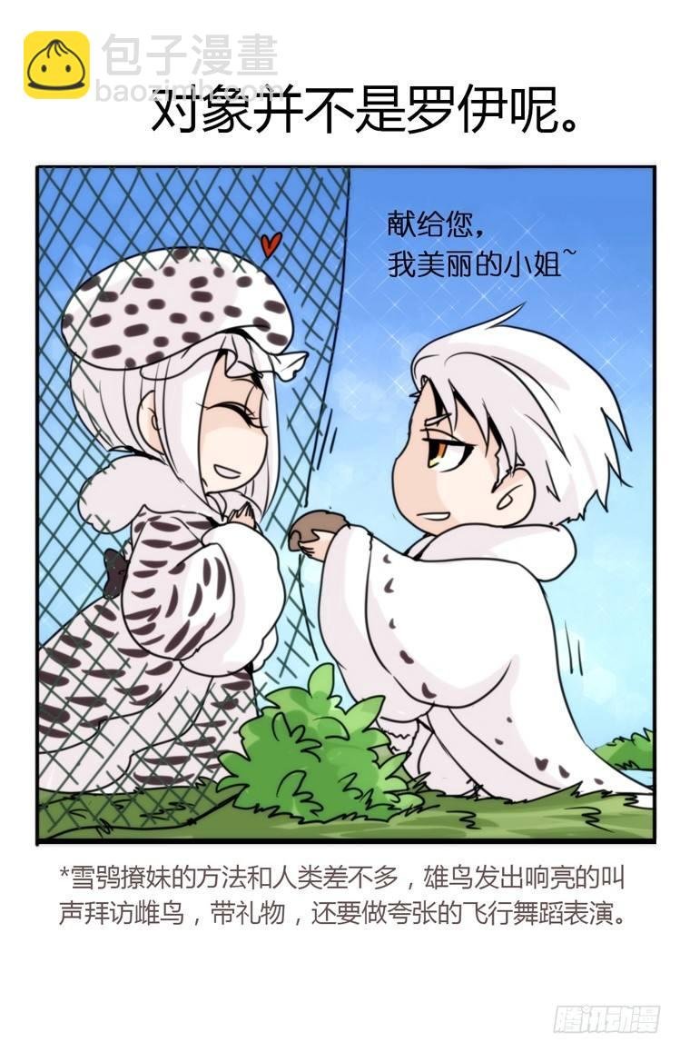 飞吧小少爷：恋爱季和注孤生？