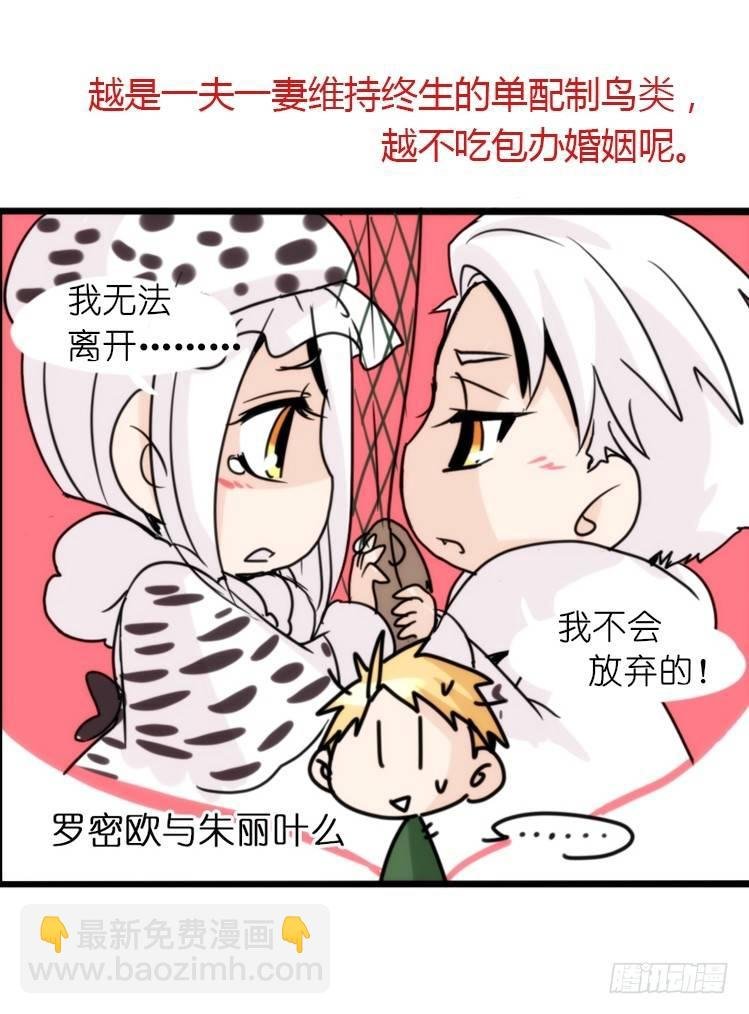 飞吧小少爷：恋爱季和注孤生？
