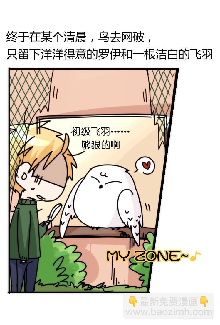 飞吧小少爷：恋爱季和注孤生？