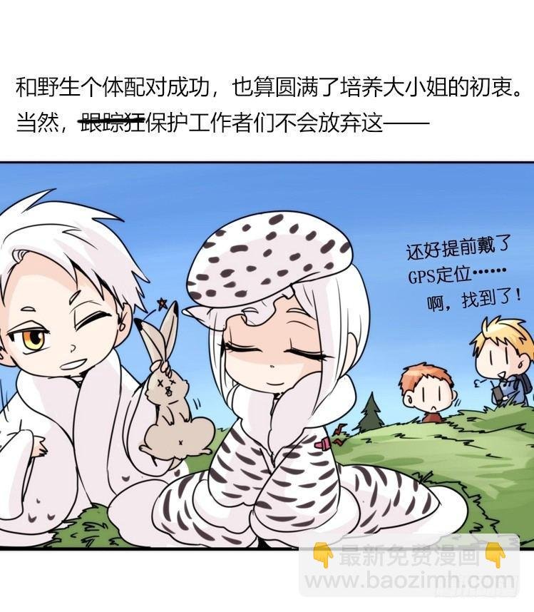 飞吧小少爷：恋爱季和注孤生？