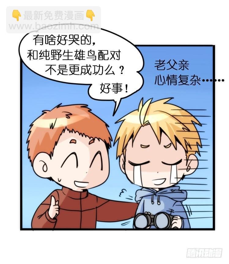 飞吧小少爷：恋爱季和注孤生？