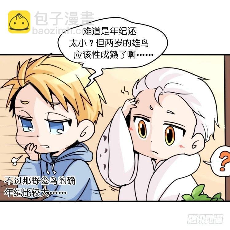 飞吧小少爷：恋爱季和注孤生？