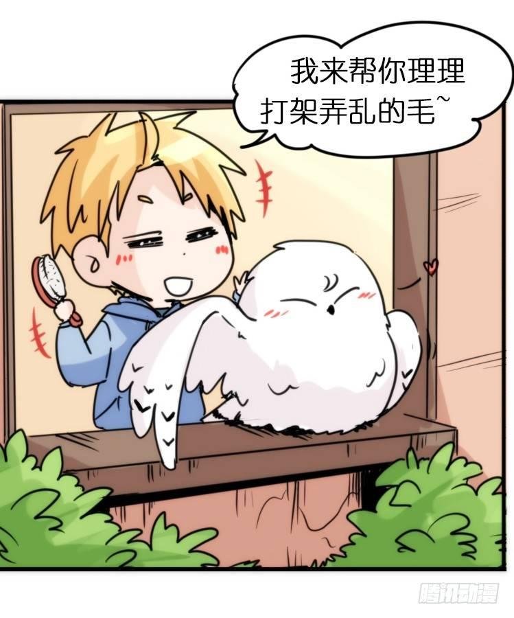 飞吧小少爷：恋爱季和注孤生？