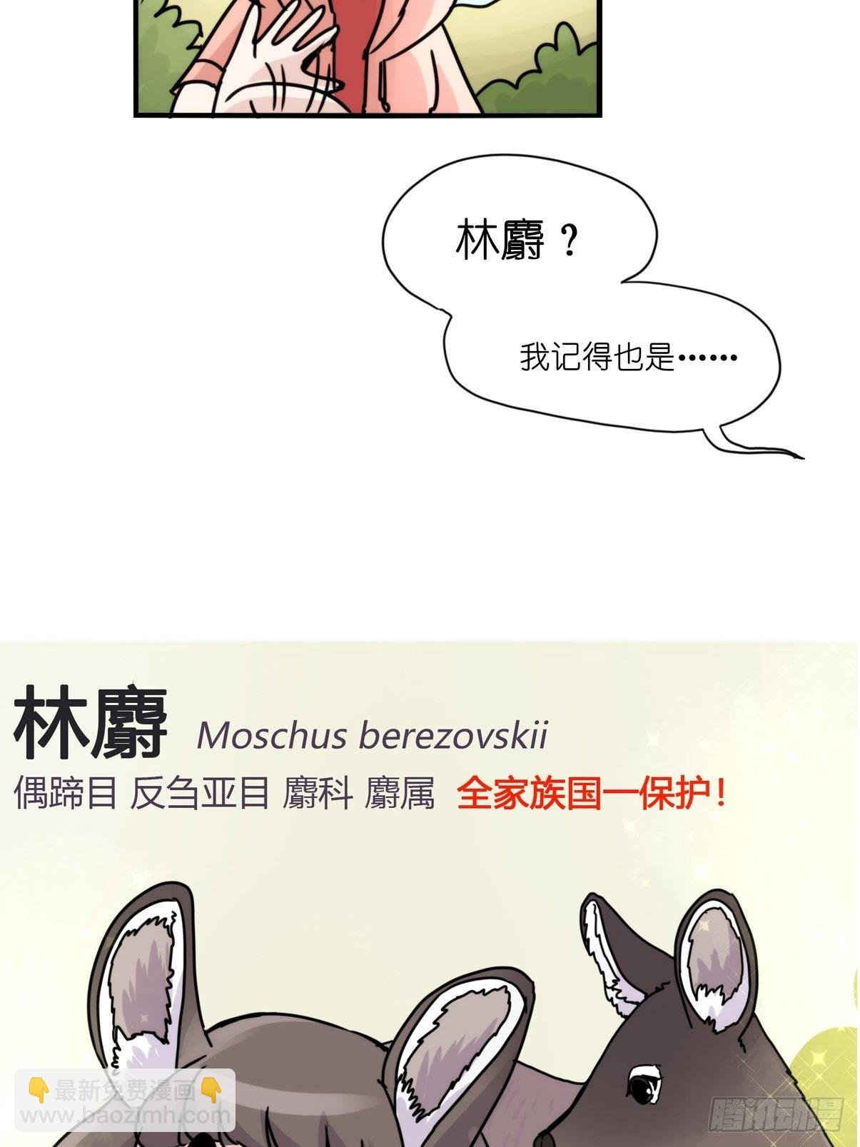 事业篇II：一堂种群恢复课01
