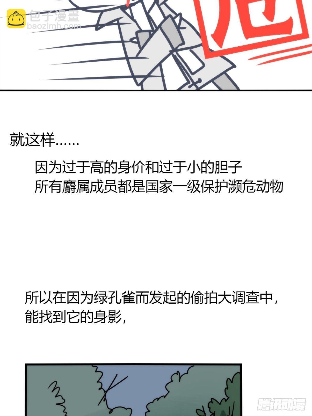 事业篇II：一堂种群恢复课01