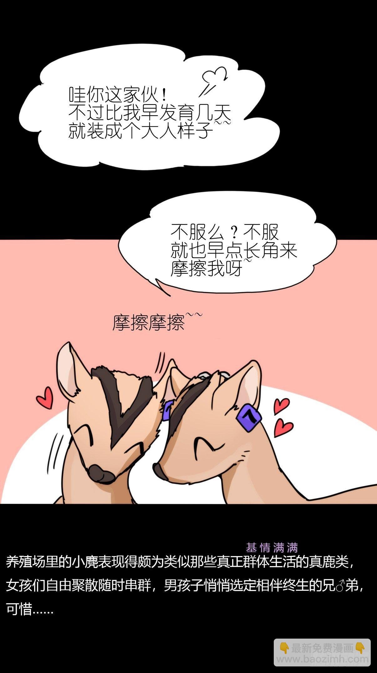 事业篇II：一堂种群恢复课03